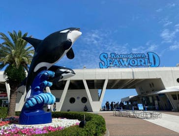 鴨川シーワールドに投稿された画像（2023/10/24）