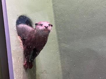 マクセル アクアパーク品川に投稿された画像（2023/10/24）