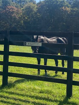 ノーザンホースパークに投稿された画像（2023/10/24）