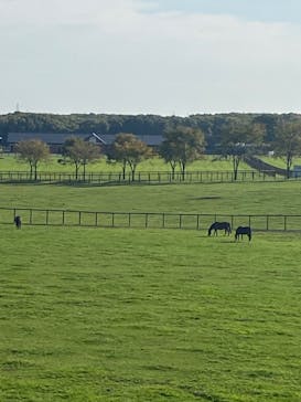 ノーザンホースパークに投稿された画像（2023/10/24）