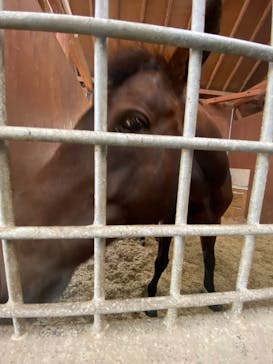 ノーザンホースパークに投稿された画像（2023/10/24）