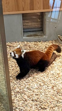 名古屋市東山動植物園に投稿された画像（2023/10/24）