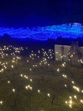 KYOTO ILLUMINATION SYNESTHESIA HILLS るり渓温泉に投稿された画像（2023/10/24）
