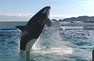 鴨川シーワールドに投稿された画像（2023/10/24）