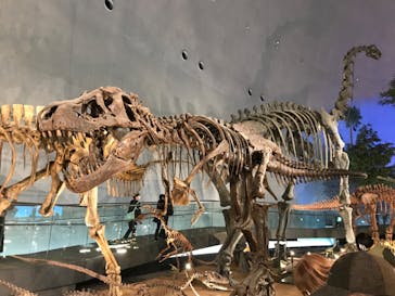 福井県立恐竜博物館に投稿された画像（2023/10/24）