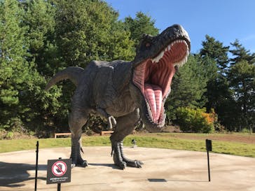 福井県立恐竜博物館に投稿された画像（2023/10/24）