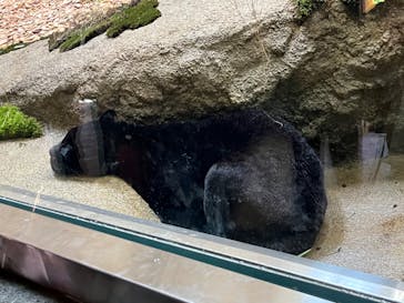 名古屋市東山動植物園に投稿された画像（2023/10/24）