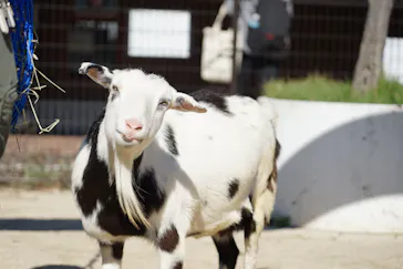 天王寺動物園に投稿された画像（2023/10/24）