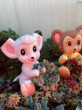 西武園ゆうえんちに投稿された画像（2023/10/24）