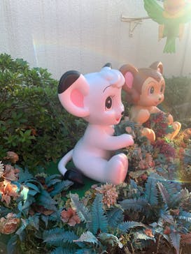 西武園ゆうえんちに投稿された画像（2023/10/24）