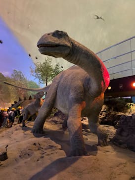 福井県立恐竜博物館に投稿された画像（2023/10/24）