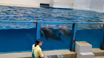 登別マリンパークニクスに投稿された画像（2023/10/24）