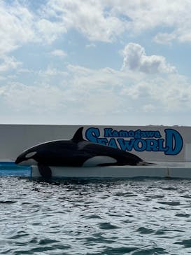 鴨川シーワールドに投稿された画像（2023/10/24）