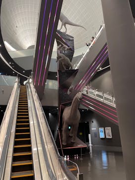 福井県立恐竜博物館に投稿された画像（2023/10/24）