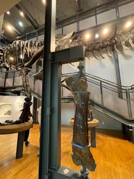 福井県立恐竜博物館に投稿された画像（2023/10/24）