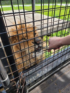 那須サファリパークに投稿された画像（2023/10/25）