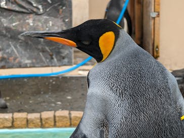 下田海中水族館に投稿された画像（2023/10/25）