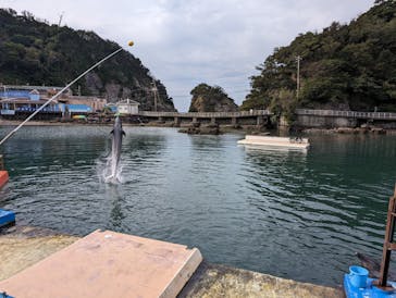 下田海中水族館に投稿された画像（2023/10/25）