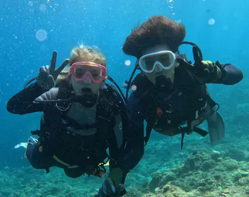 武藤潜水に投稿された画像（2023/10/25）