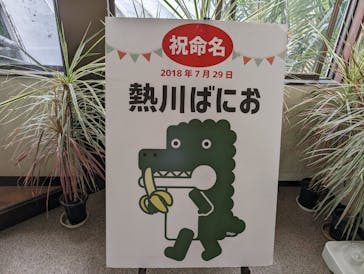 熱川バナナワニ園に投稿された画像（2023/10/25）