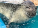 越前松島水族館に投稿された画像（2023/10/25）