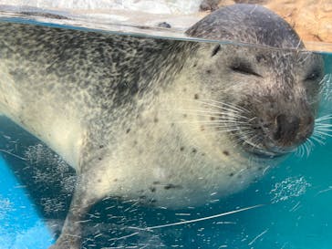越前松島水族館に投稿された画像（2023/10/25）