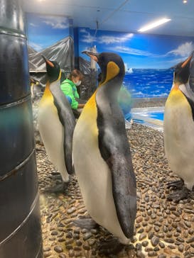 越前松島水族館に投稿された画像（2023/10/25）