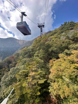びわ湖バレイに投稿された画像（2023/10/25）