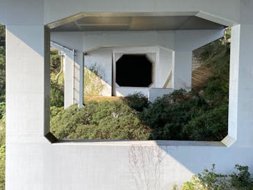 徳島県立 渦の道に投稿された画像（2023/10/25）