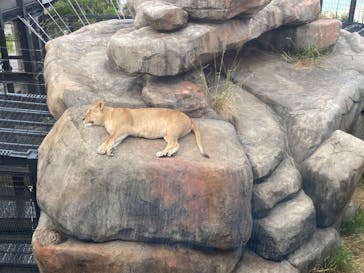 沖縄こどもの国に投稿された画像（2023/10/25）