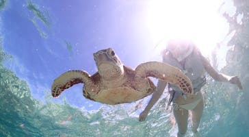 宮古島マリン GB QUESTに投稿された画像（2023/10/25）