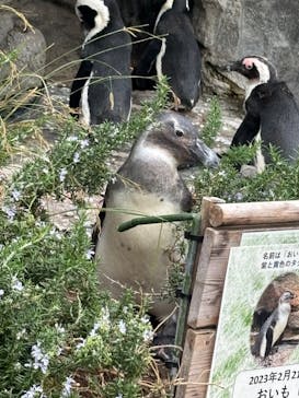 サンシャイン水族館に投稿された画像（2023/10/25）