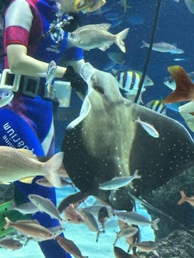 サンシャイン水族館に投稿された画像（2023/10/25）