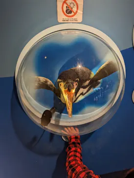 天王寺動物園に投稿された画像（2023/10/25）