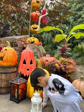 横浜イングリッシュガーデンに投稿された画像（2023/10/25）