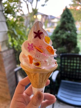 横浜イングリッシュガーデンに投稿された画像（2023/10/25）