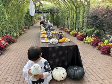 横浜イングリッシュガーデンに投稿された画像（2023/10/25）