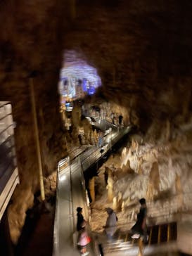 おきなわワールドに投稿された画像（2023/10/25）