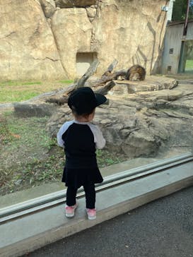 千葉市動物公園に投稿された画像（2023/10/25）