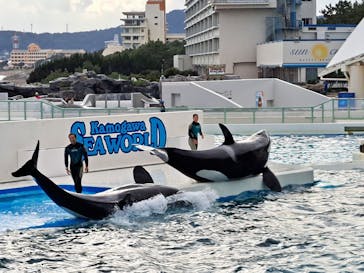 鴨川シーワールドに投稿された画像（2023/10/25）