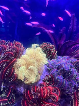 伊豆・三津シーパラダイスに投稿された画像（2023/10/25）