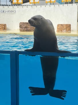 伊豆・三津シーパラダイスに投稿された画像（2023/10/25）