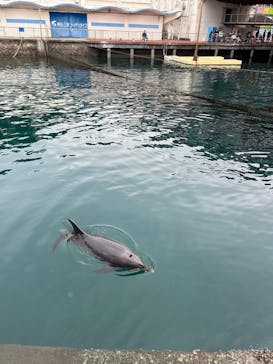 伊豆・三津シーパラダイスに投稿された画像（2023/10/25）