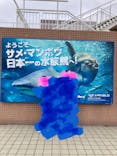 アクアワールド茨城県大洗水族館に投稿された画像（2023/10/25）