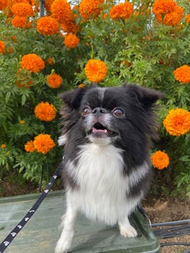 いばらきフラワーパークに投稿された画像（2023/10/25）