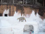 天王寺動物園に投稿された画像（2023/10/26）
