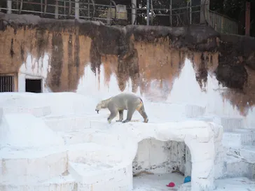 天王寺動物園に投稿された画像（2023/10/25）