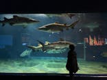 アクアワールド茨城県大洗水族館に投稿された画像（2023/10/26）