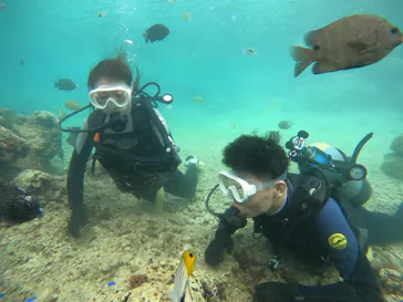 武藤潜水に投稿された画像（2023/10/26）