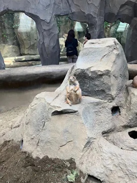 神戸どうぶつ王国に投稿された画像（2023/10/26）